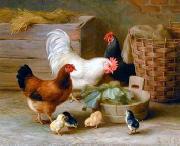 unknow artist Cocks 140 France oil painting artist